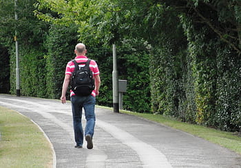 man, walking, road, Walking, Man, Pathway, Footpath, walk, male, person, full length, rear view