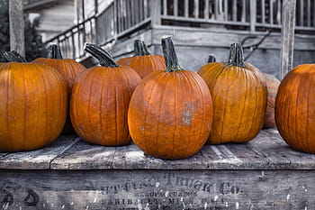 selective, color, pumpkin photo, selective color, pumpkin, objects, lazy, fall, pumpkins, farm, orange