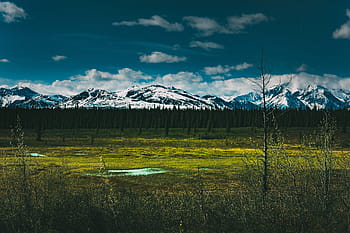 krajina záběr, zasněžené hory, zachytil, v denali, národní, park, krajina, výstřel, sníh, limitován, hory