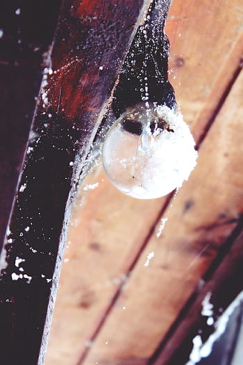Light Bulb, Hut, Log Cabin, Vacation, snow, old, scale, wood, rustic, building, home