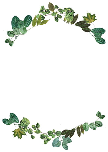 leaves, border, nature, frame, design, foliage, color, green, natural