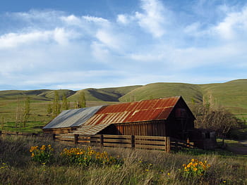vieux, ferme, Grange, rustique, paysage, ciel bleu, campagne, altéré, bois, clôture, pays