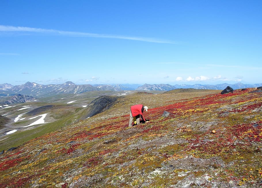 hory, sopka, houby, tundra, podzim, silnice, krajina, Příroda, noha, kamchatka, Otevřený prostor