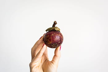 fresh mangostan, Fresh, hands, mangostan, white background, fruit, food, human Hand, healthy Eating, freshness, nature