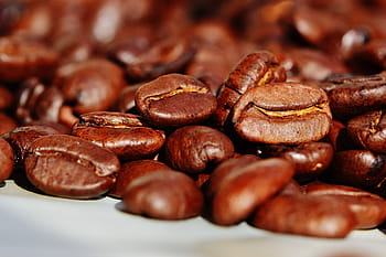 hnědá kávová zrna, káva, Kávová zrna, kavárna, opečený, kofein, hnědý, aroma, fazole, pražení kávy, aromatický