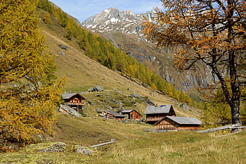 alpine, alm, alpine hut, hut, almdorf, log cabin, gunung, lembah, musim gugur, alam, lanskap gunung