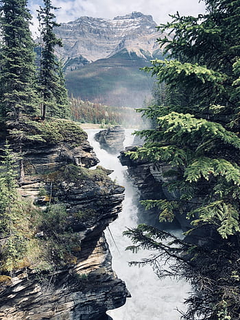 athabasca padá, malebné vodopády, krajina, hora, Kanada, vodopád, scénický, národní, jaspis, cestovat, venku