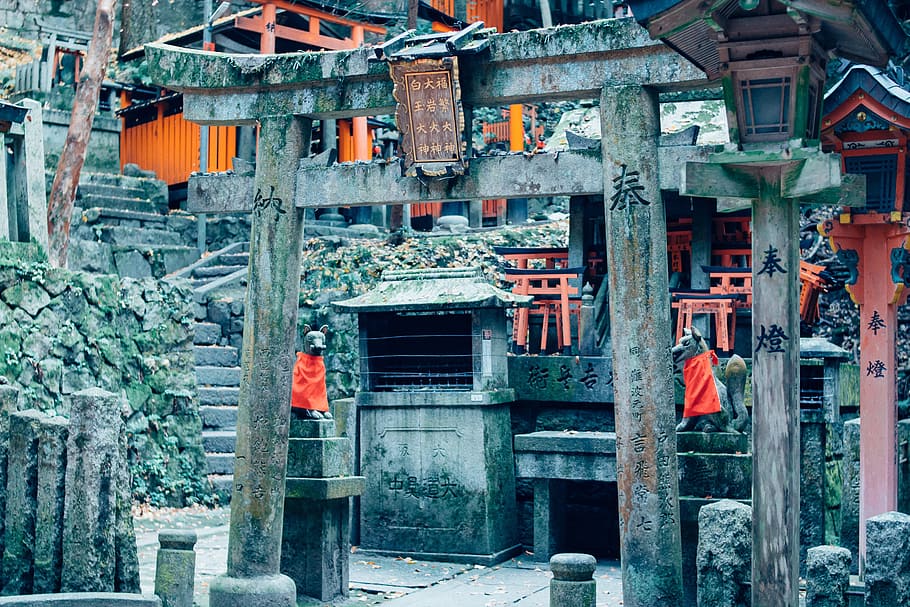 two, dog statues, paifang, daytime, dog, statues, japan, temple, tradition, japanese, religious