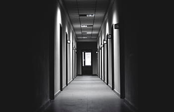 fotografie z chodby, architektura, budova, infrastruktura, Černá, bílý, Černý a bílý, chodba, světla, koridor, uvnitř