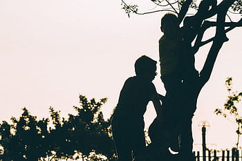 silhouette photo, two, boys, climbing, tree, silhouette, boy, day, time, people, kids