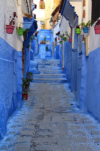 plants, pots, wall, city, Blue City, Old Town, Morocco, chefchaune, stone, moroccan houses, pavement