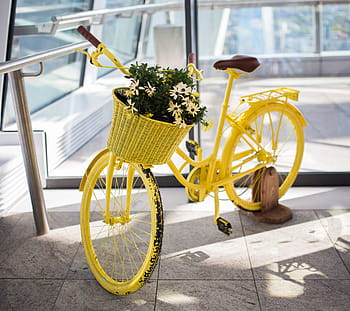 Fahrrad pflanzt Blumen, Gelb, Fahrrad, Pflanzen, Blumen, Natur, Transport, Straße, draußen, städtische Szene, Zyklus