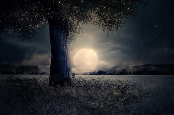 full, moon, green, foliage tree, field, night, landscape, tree, fairy tale, fantasy, mysterious
