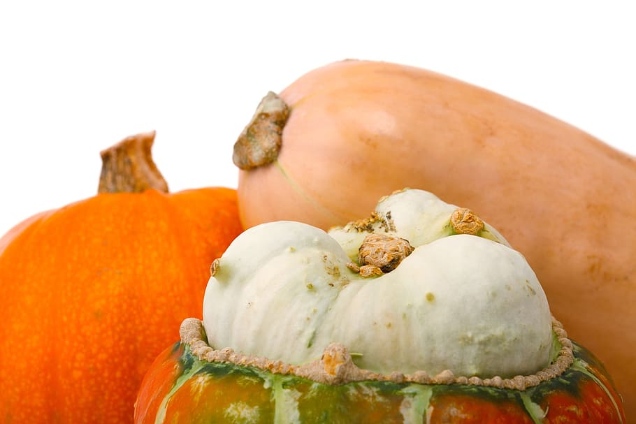 agriculture, autumn, isolated, crop, fall, food, fresh, harvest, nature, pumpkin, season