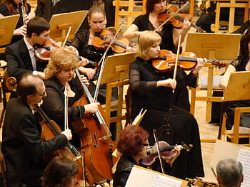 symphony orchestra, concert, Symphony Orchestra, Concert, philharmonic hall, music, violin, cello, stringed instruments, musician, performance, musical instrument