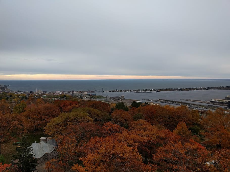duluth, minnesota, podzim, stromy, Příroda, listy, jezero, voda