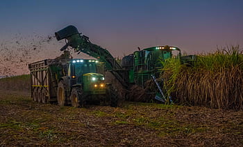 трактор, john deere, захар, Захарна тръстика, жътва, Австралия, ферма, Земеделие, селско стопанство, поле, реколта