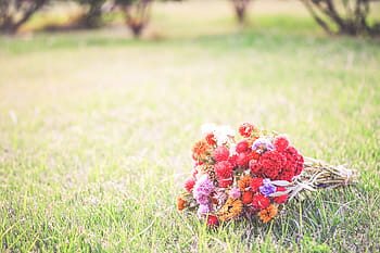 mazzo, fiori, verde, campo d'erba, giorno, erba verde, natura, fiore, estate, all'aperto, erba