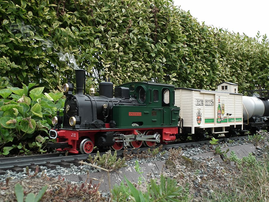 Garden Railway, Steam Locomotive, spreewald, freight train, lgb, model train, garden, train, goods wagons, narrow gauge, hobby