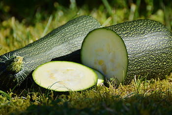 sliced, vegetable, green, grass, zucchini, vegetables, harvest, garden, bio, pumpkin, choose