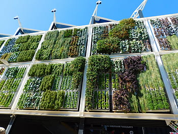 白、 コンクリート、 建物、 緑、 植物、 昼間、 展覧会、 ミラノ、 2015年、 垂直庭園