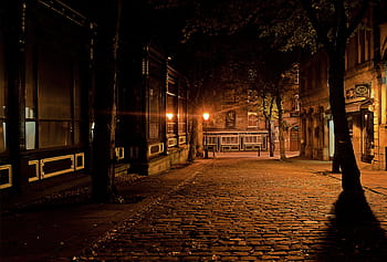brown, bricked pavement, surrounded, buildings, sleeping, city, sleep, night, evening, dark, architecture