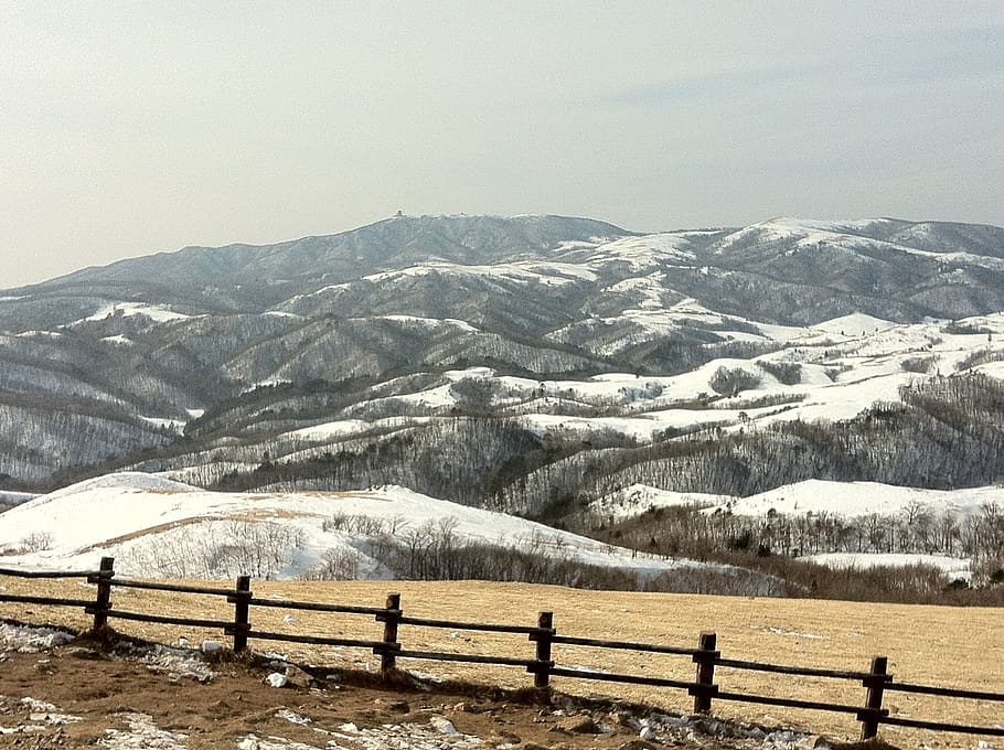 samyang ranč, gangwon, sníh, zimní