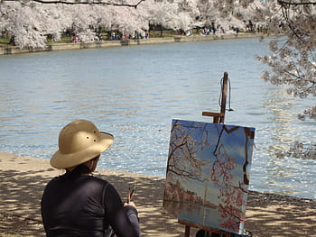 Artist, Cherry Blossoms, Painting, washington dc, water, outdoors, nature, people, travel Locations, color Image, rear view
