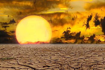 dried, land, daytime, illustration, landscape, nature, sunset, climate change, drought, desert, sun