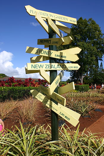 hawaii, directory, direction, signs, summer, label, sky, way, marking, information boards, street sign