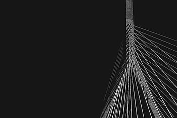 low-angle photography, concrete, bridge, dark, black, white, infrastructure, cable, stayed, black and white, cable-stayed bridge