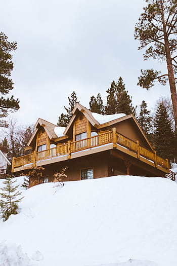 brown, black, wooden, house, covered, snow, winter, white, cold, weather, ice
