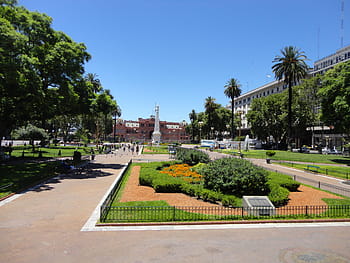 fotografie, zelená, listoval, stromy, budov, casa rosada, Argentina, 25 de mayo, veřejné náměstí, Buenos Aires