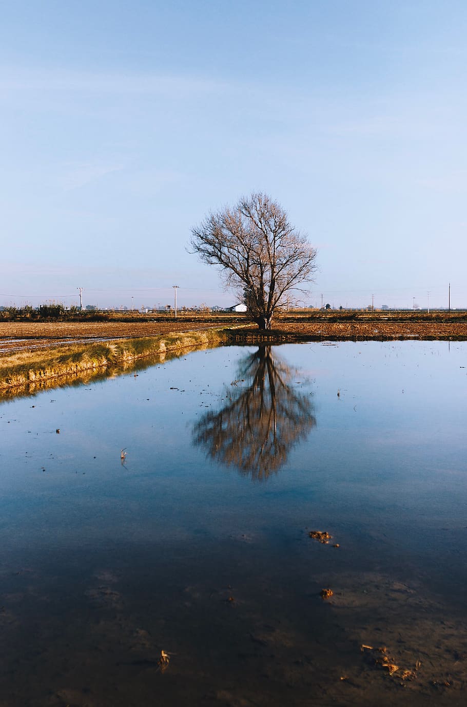 tree, lake, water, nature, landscape, trees, clouds, forest, waters, wilderness, scenic