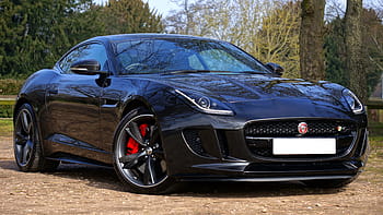 black, jaguar f-type coupe, parked, tree, Jaguar, Sports Car, Fast, Automobile, f-type, luxury, car