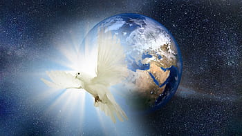 dove, peace, global, world, universe, bird, white, symbol, pigeon, dom, hope