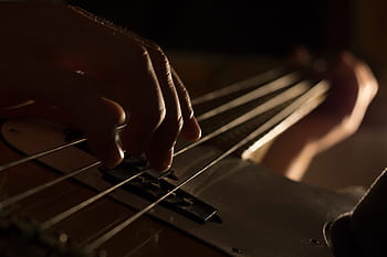 person, using, bass guitar, playing, electric, bass, guitar, string, hand, musical, instrument