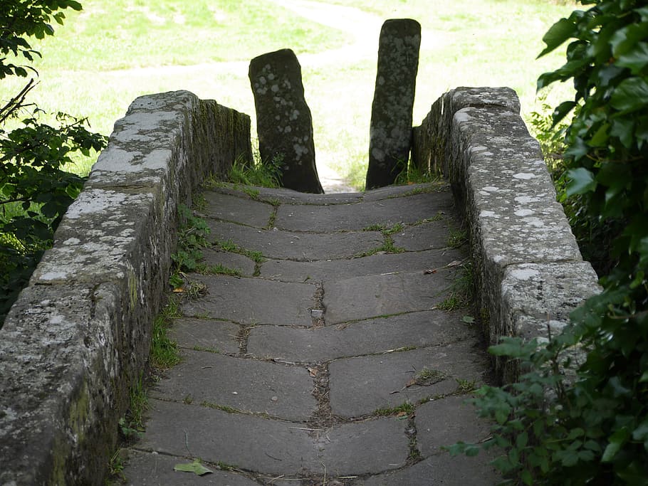 kámen, stile, řeka, oblouk, Příroda, venku, nikdo, den, kmen stromu, strom