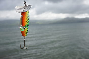 shallow, focus photography, orange, green, fishing, lure, lake, costa rica, nature, water, rod