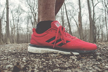 person, red, adidas low-top sneaker, sneakers, running, shoes, footwear, running shoes, outdoor, shoe, sport