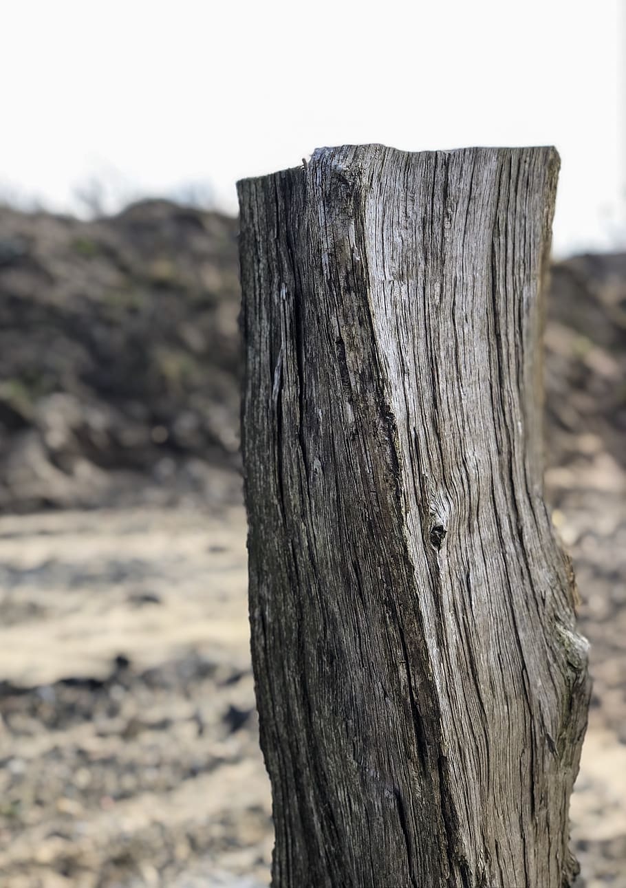 wood, tribe, fence, structure