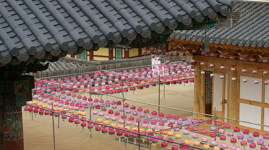 年の挨拶、 寺院、 セクション、 光、 創世記、 家族、 幸せ、 春