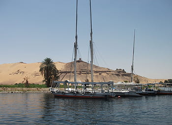 boats, river, egypt, nile, water, desert, transport, sailing, riverscape, palm tree