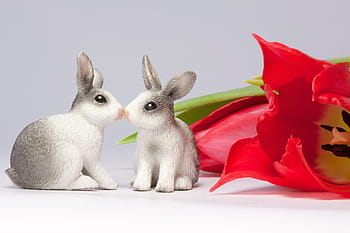 two, white-and-gray, ceramic, bunny figurines, red, tulip, easter bunny, kiss, spring, frühlingsanfang, spring awakening