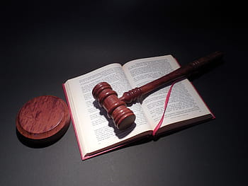 brown, wooden, judge mallet, Judge, mallet, hammer, court, justice, book, law, clause