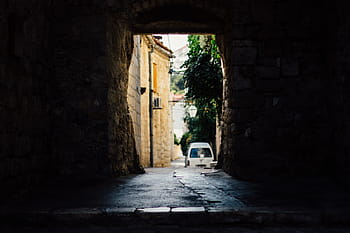 gray, van, green, tree, white, parked, asphalt, road, day, time, architecture