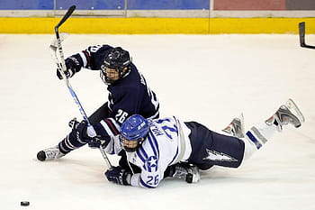 two, nhl players, hockey rink, ice hockey, players, forward, contact, sticks, goal, puck, athletes