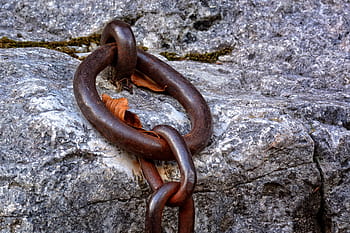 fixing, ring, metal, fix, hook, eyelet, mount, technology, annular, stainless, rusty