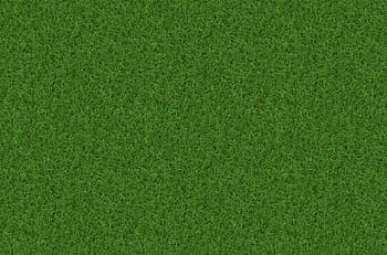 Grün, Gras, eilen, Textur, Hintergrund, Muster, grünes Gras, Wiese, halme, Grashalm, Hintergründe