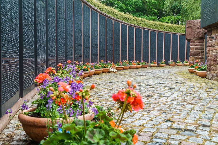heike village, u-boat memorial, Heike, Village, U-Boat, Memorial, baltic sea, laboe, mecklenburg, flower, outdoors